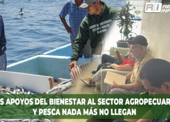 Los apoyos del bienestar al sector agropecuario y pesca nada más no llegan
