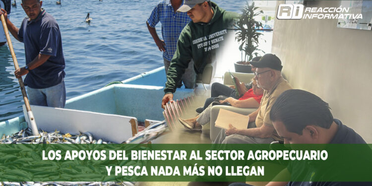 Los apoyos del bienestar al sector agropecuario y pesca nada más no llegan