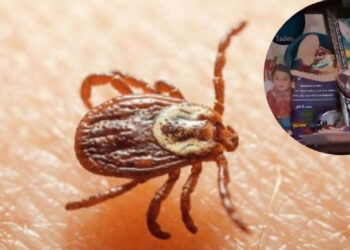 Quiénes eran Derek y Paola, los niños que murieron por la picadura de una garrapata en Nuevo León