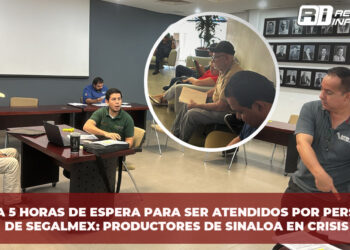 Hasta 5 horas de espera para ser atendidos por personal de SEGALMEX: productores de Sinaloa en crisis