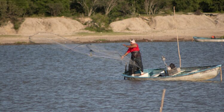 Conapesca extiende veda del camarón en laguna del Caimanero hasta el 25 de Octubre