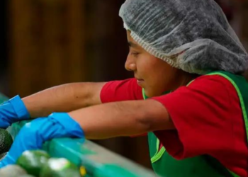 México registra 22 millones 389 mil 835 empleos