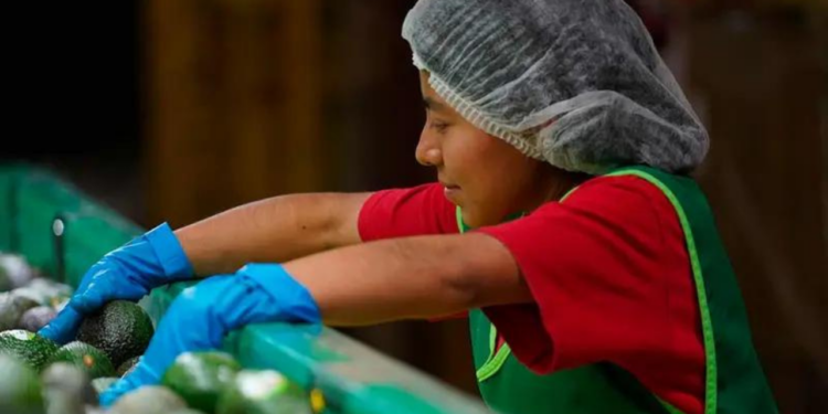 México registra 22 millones 389 mil 835 empleos
