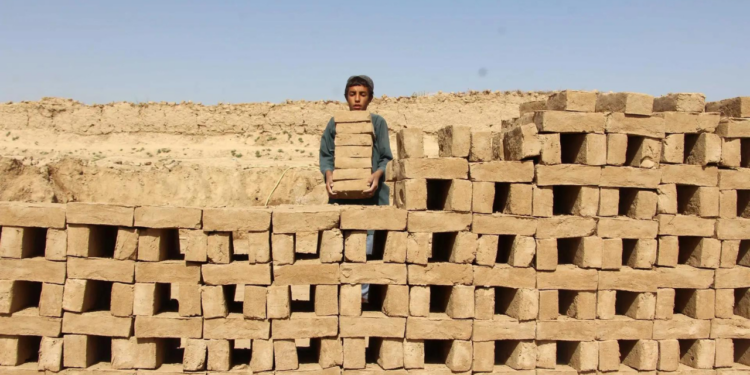 Unos 160 millones de niños son explotados laboralmente en el mundo