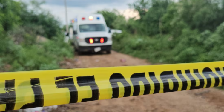 Suman siete cuerpos encontrados en distintas fosas clandestinas de Culiacán