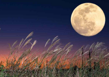 Superluna de Cosecha 2024: ¿Cuándo ver el fenómeno astronómico que viene con más de una sorpresa?