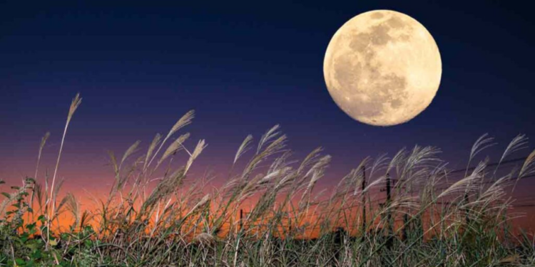 Superluna de Cosecha 2024: ¿Cuándo ver el fenómeno astronómico que viene con más de una sorpresa?