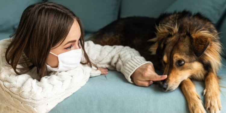 Investigadores descubren que perros y gatos puede contagiarse con la variante Ómicron de Covid -19