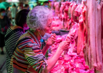 Nuevo estudio corrobora el origen del COVID-19 en un mercado chino de pescado
