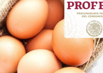Profeco confirma la marca de huevo con más Omega-3