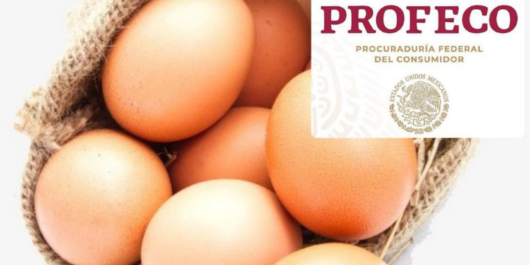 Profeco confirma la marca de huevo con más Omega-3