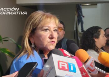 Diputados de otros partidos con derecho a presidir comisiones en el Congreso: Tere Guerra