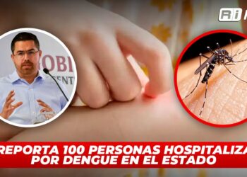 SSA reporta 100 personas hospitalizadas por dengue en el estado