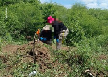 ¡Primero fue una cabeza!; suman cuatro los cuerpos encontrados en Punta Azul, Culiacán
