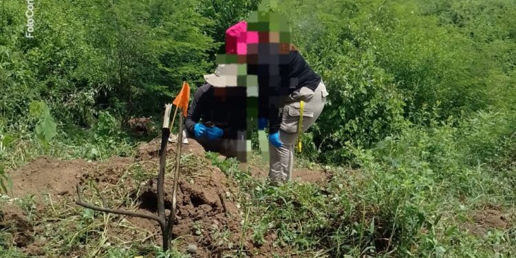 ¡Primero fue una cabeza!; suman cuatro los cuerpos encontrados en Punta Azul, Culiacán