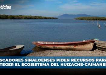 Pescadores sinaloenses piden recursos para proteger el ecosistema del Huizache-Caimanero