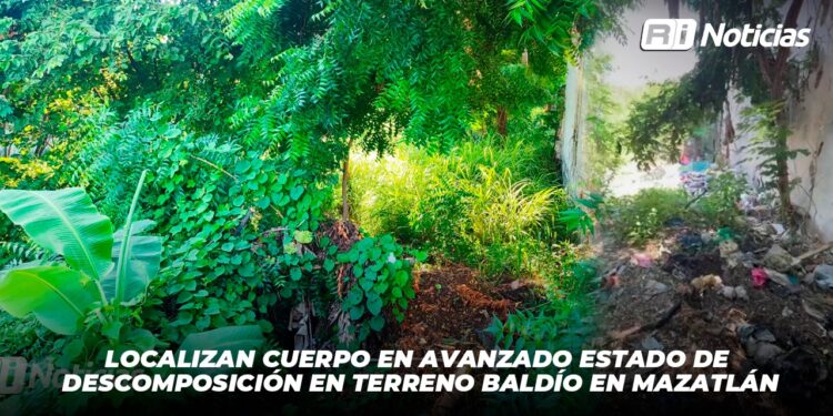 Localizan cuerpo en avanzado estado de descomposición en terreno baldío en Mazatlán