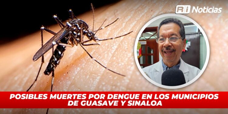 Posibles muertes por dengue en los municipios de Guasave Y Sinaloa