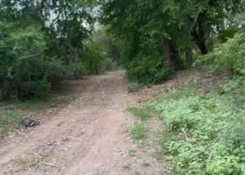 Localizan cuerpo sin vida en el poblado El Higueral, en Eldorado, Sinaloa