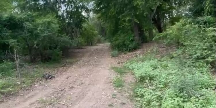 Localizan cuerpo sin vida en el poblado El Higueral, en Eldorado, Sinaloa