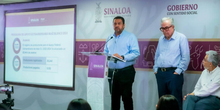 Ya van más de 9 mil productores de maíz pagados: Ismael Bello
