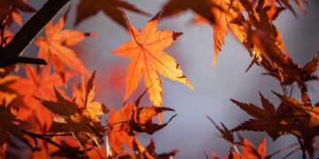 Así se observó el equinoccio de otoño desde el espacio