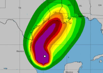 Se forma la tormenta tropical “Francine” en el Golfo de México
