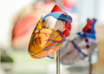 Alertan riesgo de aumento de enfermedades cardiovasculares en México