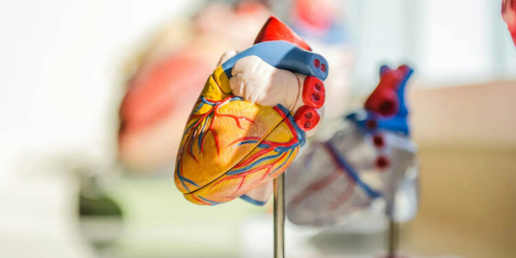 Alertan riesgo de aumento de enfermedades cardiovasculares en México