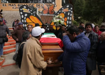 3er lugar a nivel mundial: Todos los ambientalistas asesinados en México en un año