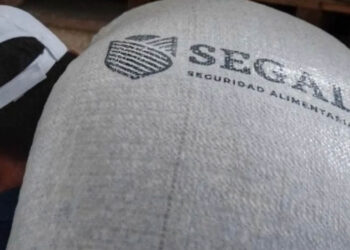 Gobierno reconoce afectación patrimonial de 2 mil 700 mdp en Caso Segalmex