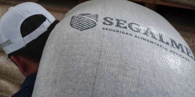 Gobierno reconoce afectación patrimonial de 2 mil 700 mdp en Caso Segalmex