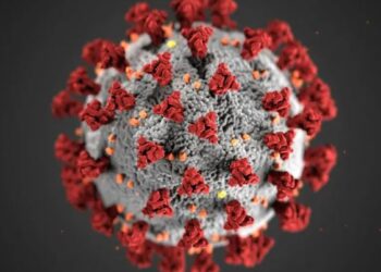 KP3 de covid-19: prevención, diferencia entre variantes y tratamiento