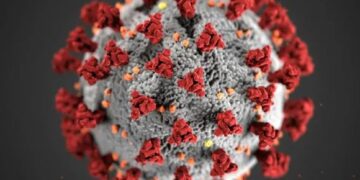 KP3 de covid-19: prevención, diferencia entre variantes y tratamiento