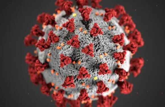 KP3 de covid-19: prevención, diferencia entre variantes y tratamiento