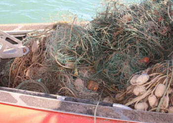 Organización revela que EE.UU. sancionó a México por pesca ilegal y restringe el acceso a sus puertos