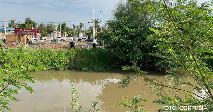 Encuentran hombre sin vida en un canal de riego en Los Mochis