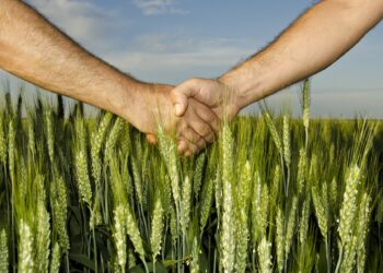 Serapio Vargas propone la creación de parafinanciera rural en Sinaloa