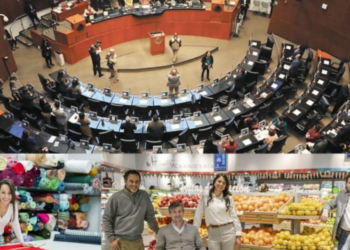 Diputados aprueban por unanimidad la “Ley silla”; prohíbe obligar a trabajadores a permanecer de pie