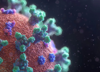 Inteligencia artificial descubre más de 160 mil nuevas especies de virus