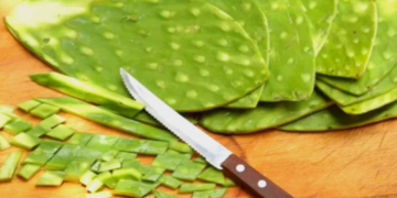Cuáles son los beneficios de comer nopal crudo en ayunas