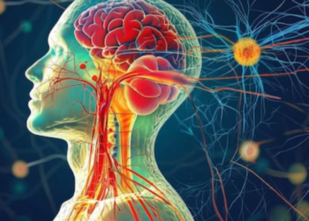 ¿Qué es el cortisol y por qué genera arrugas en nuestro cuerpo?