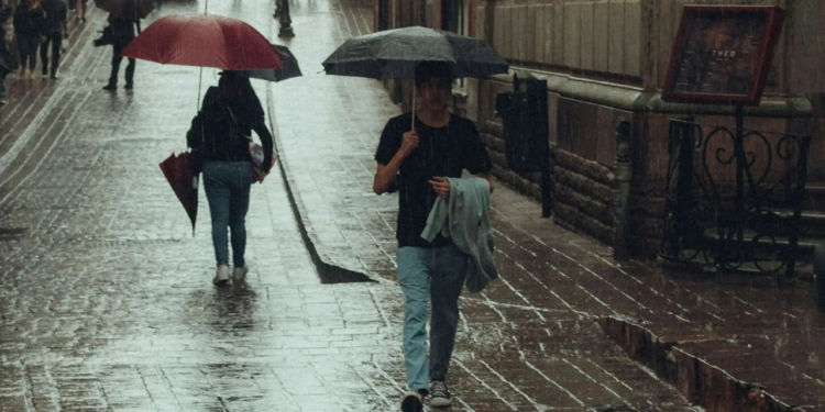 Lloverá intensamente en cuatro estados este domingo