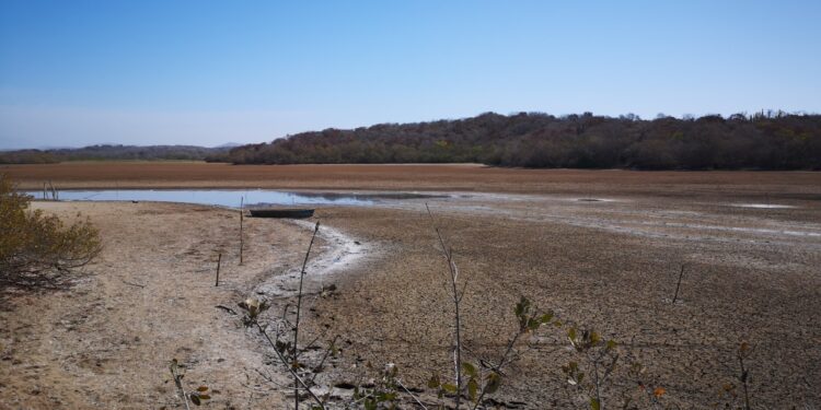 Sinaloa enfrenta una crisis hídrica prolongada a pesar de las lluvias