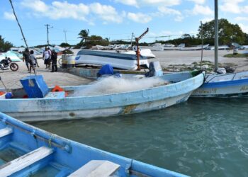 Pescadores del Huizache reportan un prometedor inicio de captura de camarón