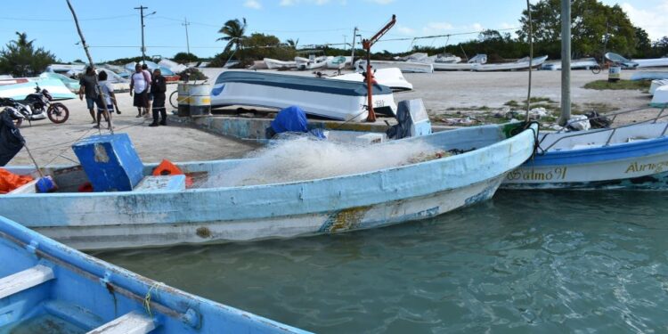 Pescadores del Huizache reportan un prometedor inicio de captura de camarón