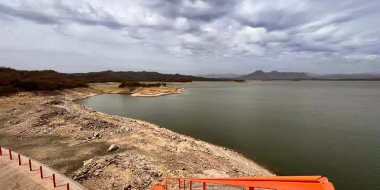 Sinaloa enfrenta su ciclo agrícola más complicado debido a la escasez de agua, advierte Caades