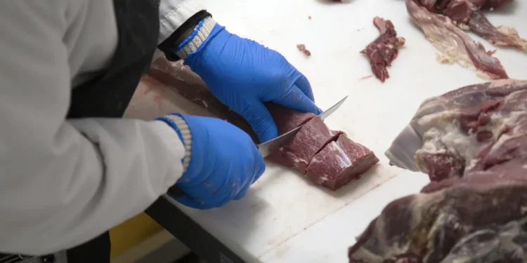 México Ascenderá al 8° Lugar Mundial en Producción de Carne Bovina en 2025