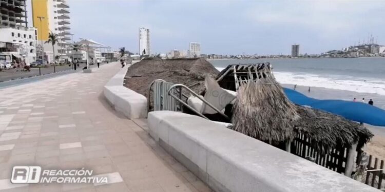 Gobierno busca frenar colocación de más palapas en zona de playa