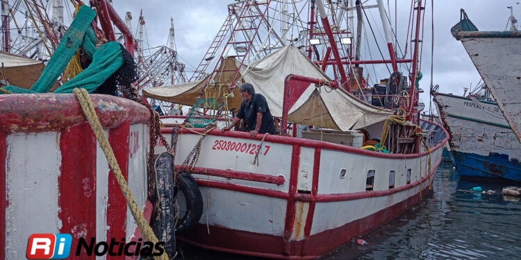 Solo 185 barcos saldrán al mar, dejando a miles de pescadores sin trabajo.